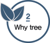 2 why tree