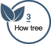 3 how tree